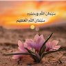 Profilbild von صـمت السنيـن