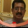 محمدالشيباني's profile picture