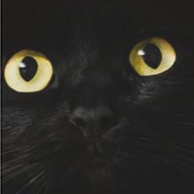 chie_ace_sho's profile picture