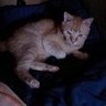 ホワッツマイケル2 profil fotoğrafı