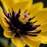 Фото профиля Charlotte A.
