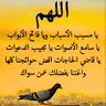Фото профиля abuqamar