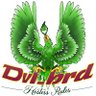 Dvl_Brd 的头像