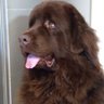 Ravii profil fotoğrafı