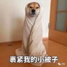 翁's profile picture