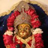 Naveen kumar's profile picture