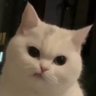 ทุกคนมีแม่คนเดียวโกโก้'s profile picture