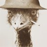 Nemxa profil fotoğrafı