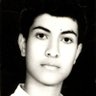 Morteza's profile picture