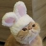 UrsaMajorGRND's profile picture