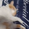 ã¯ã£ã¡ãã profil fotoÄrafı