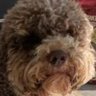 Profilbild von Alex