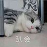少不知's profile picture