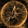 Фото профиля NeuralUnity