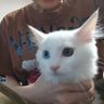 牛肉多少钱's profile picture