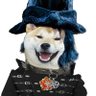 Fuzzer profil fotoğrafı