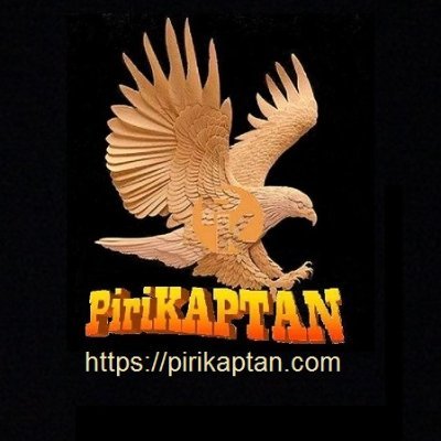 PiriKAPTAN's profile picture