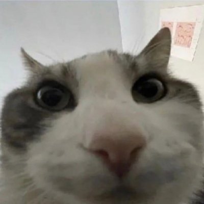 uaim SANYA's profile picture