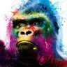 gorila_since1980's profile picture