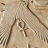 7oras𓂀🇪🇬 profil fotoğrafı