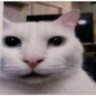 nexon 𖣂's profile picture
