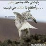 SMA profil fotoğrafı