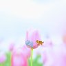 Фото профиля ひー