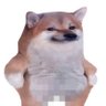 Derk de Vries #NAFOfella (Я за Україну) Free 🦝's profile picture