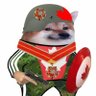 Canadian Ukrainian Fella🇺🇦🇨🇦's profile picture