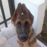 Profilbild von euardo heks