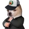 Profilbild von tabitazeus