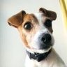 Profilbild von JMB