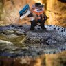 OschKoschOG_Fella's profile picture