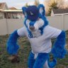 Nozz's profile picture