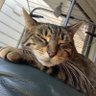 Rose's profile picture
