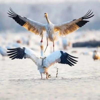 徐永亮(互Fo)'s profile picture