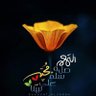 Profilbild von ابراهيم فؤاد