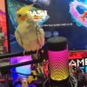 مربي طيور 🦜 profil fotoğrafı