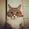 Big_Daddy profil fotoğrafı