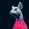 狛狐M's profile picture
