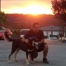angel'sadvocate's profile picture
