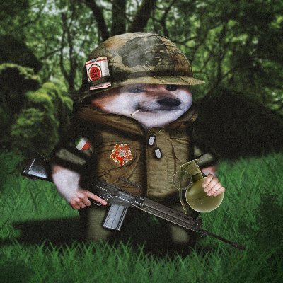 ℙ𝕦𝕟𝕚𝕤𝕙𝕖𝕕 ℝ𝕒𝕫𝕫𝕚 🇮🇹 🇺🇦's profile picture