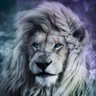 Profilbild von AmN