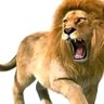 TANZANIA ❤️❤️'s profile picture