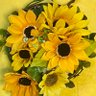 さくら🌻 的头像