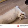 甜筒化了i profil fotoğrafı