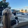 币安星辰队长's profile picture