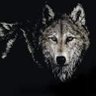 vatansever's profile picture