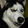 Blahblähblubb's profile picture
