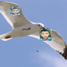 Profilbild von عبد الحميد أبو الوفا